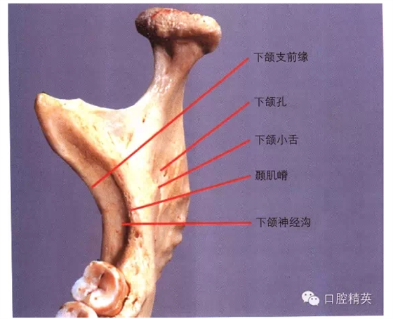 QQ图片20150717091659.png