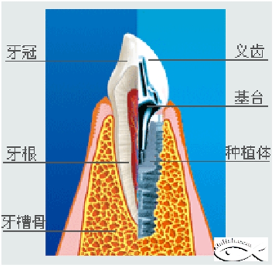 QQ图片20150721135857.png