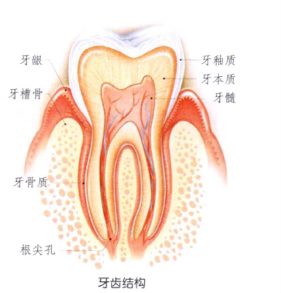 QQ图片20150721140029.png