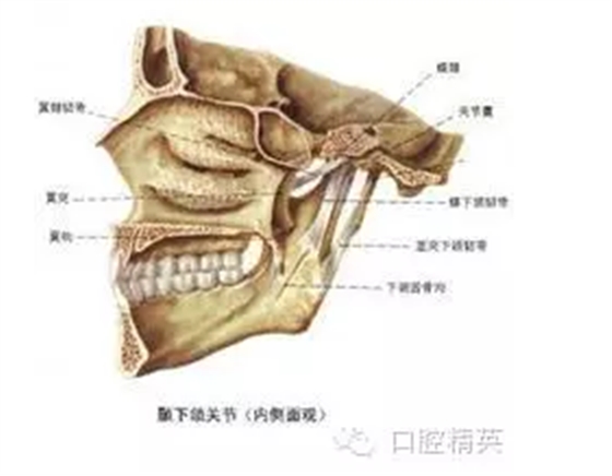 QQ图片20150722091529.png