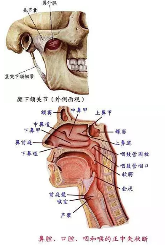 QQ图片20150731101914.png