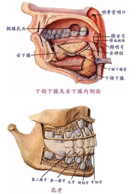 QQ图片20150731101929.png