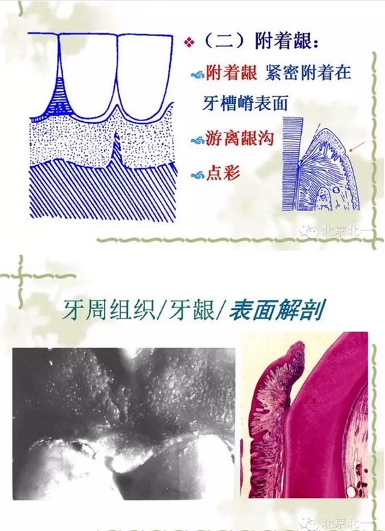 QQ图片20150814101049.png