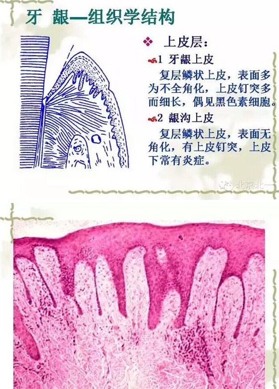 QQ图片20150814101159.jpg