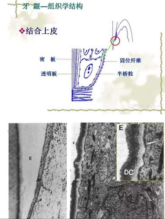 QQ图片20150814101235.jpg