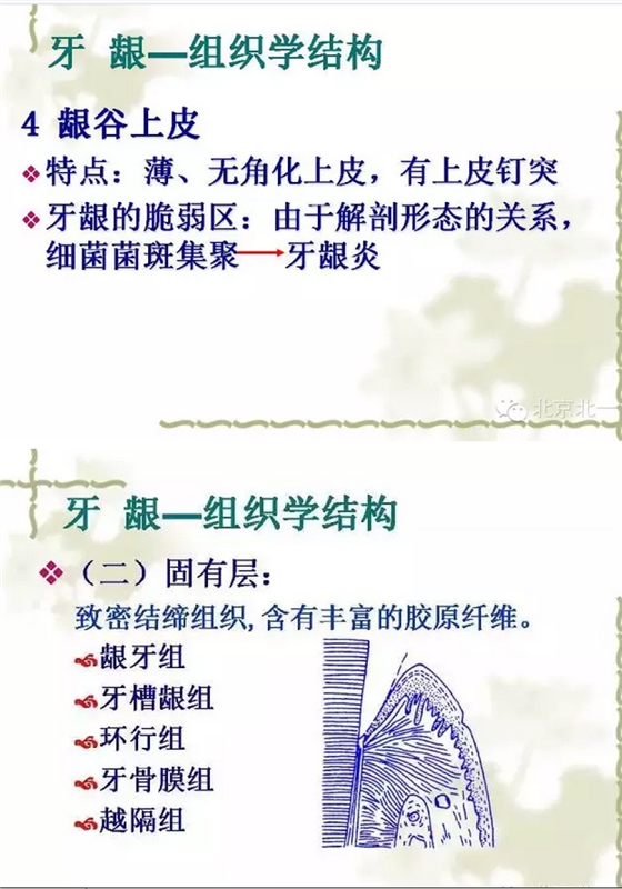 QQ图片20150814101304.png