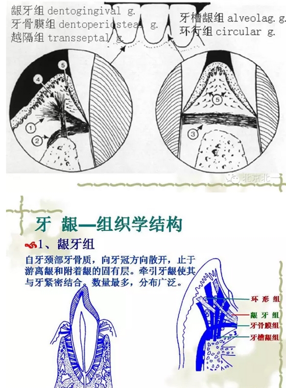 QQ图片20150814101319.png