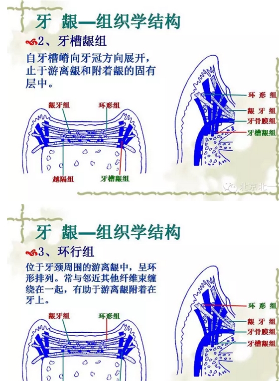 QQ图片20150814101337.png