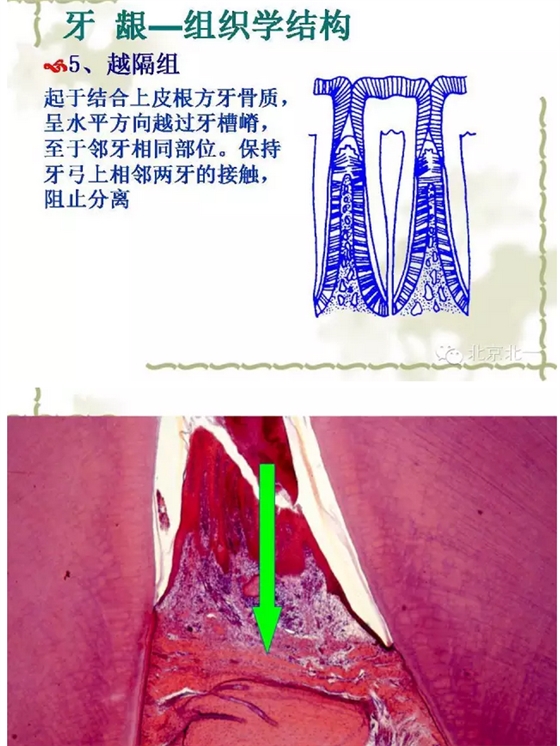 QQ图片20150814101411.png