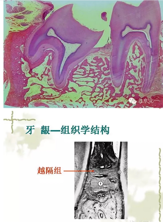 QQ图片20150814101434.png