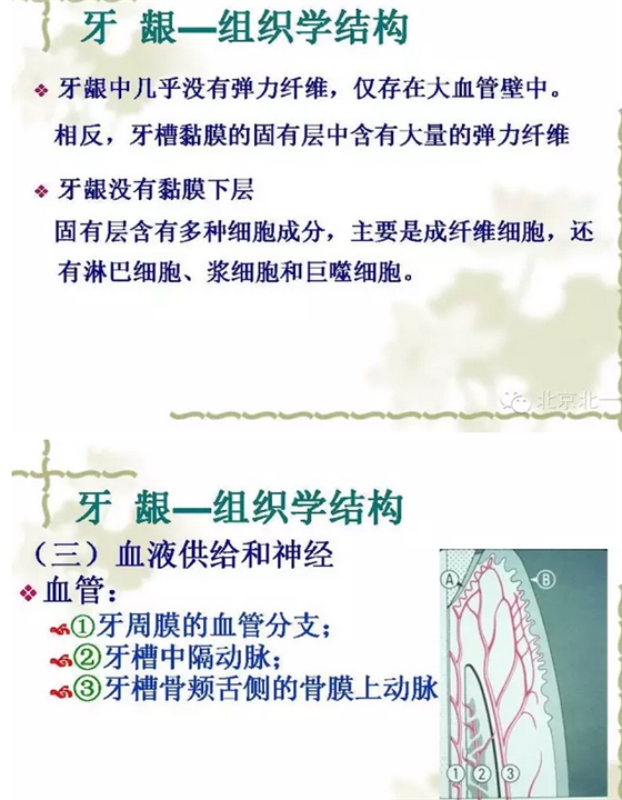 QQ图片20150814101448.png