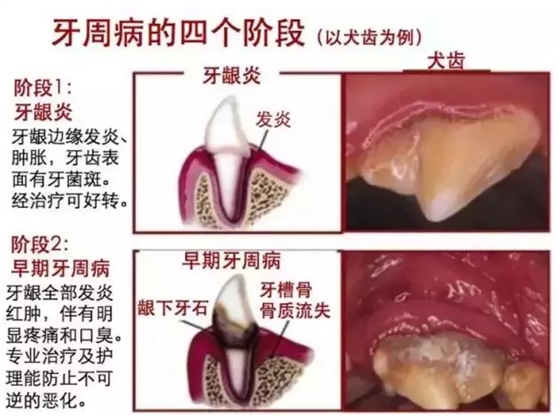 QQ图片20150815110450.png