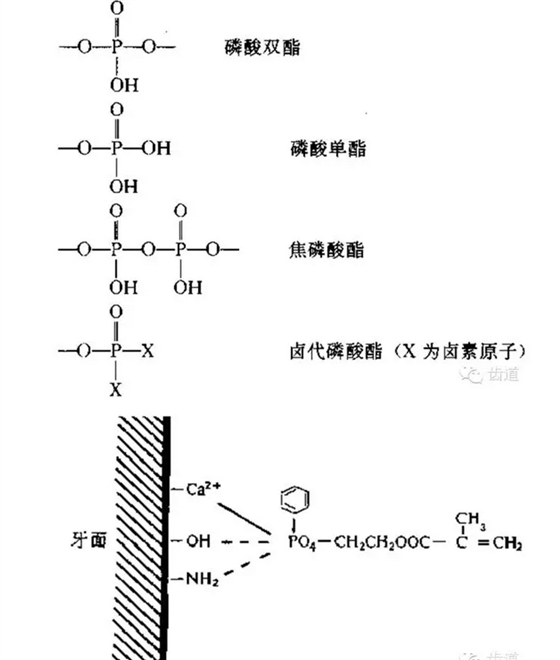 QQ图片20150816143332.png