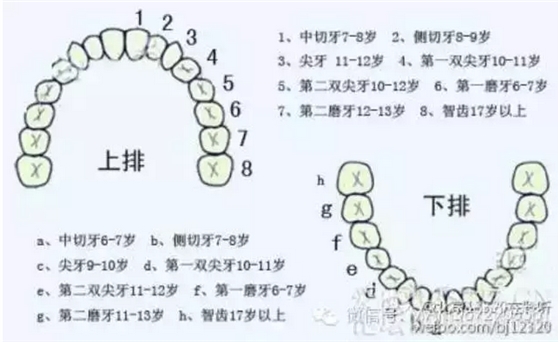 QQ图片20150819091617.png