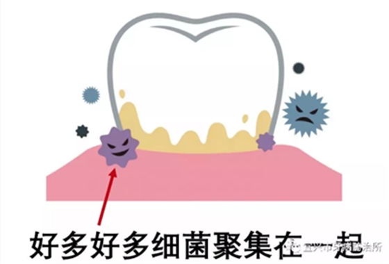 上海品瑞迈格磁致伸缩治疗仪 患者之爱