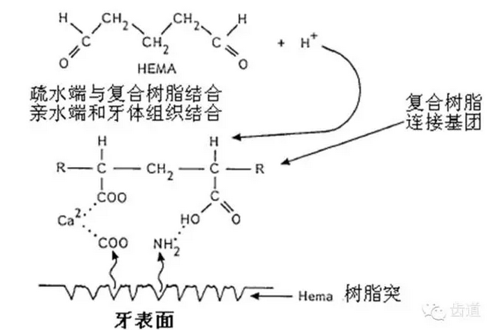 QQ图片20150816143300.png