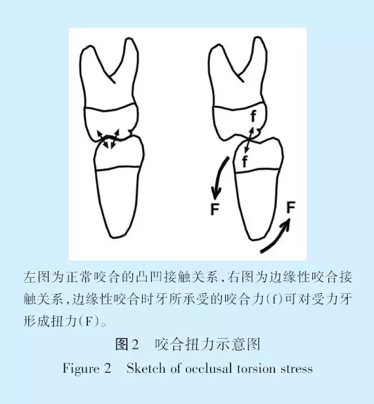 专家论坛王美青浅谈咬合修复重建中的牙合学问题