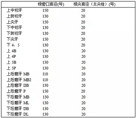 知识分享：根管治疗的标准步骤